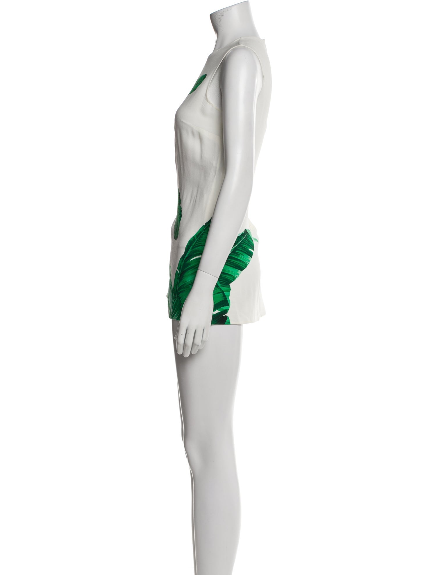 Dolce & Gabbana Printed Mini Dress