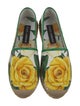 Dolce & Gabbana Canvas Floral Print Espadrilles