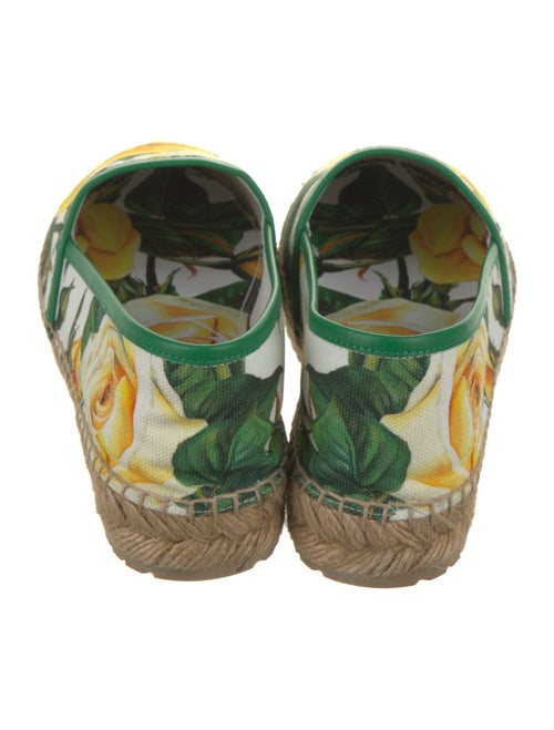 Dolce & Gabbana Canvas Floral Print Espadrilles
