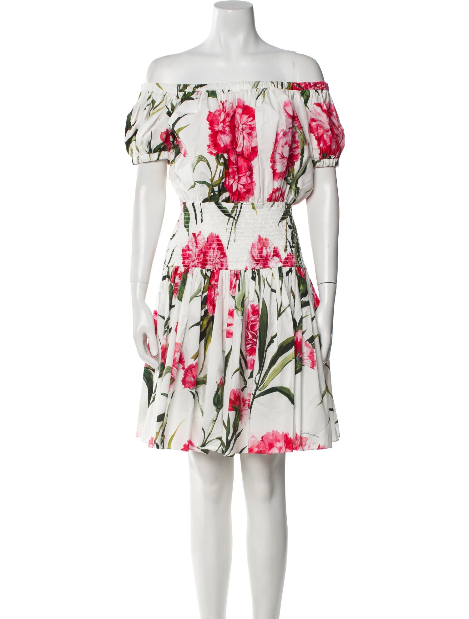 Dolce & Gabbana Floral Print Knee-Length Dress