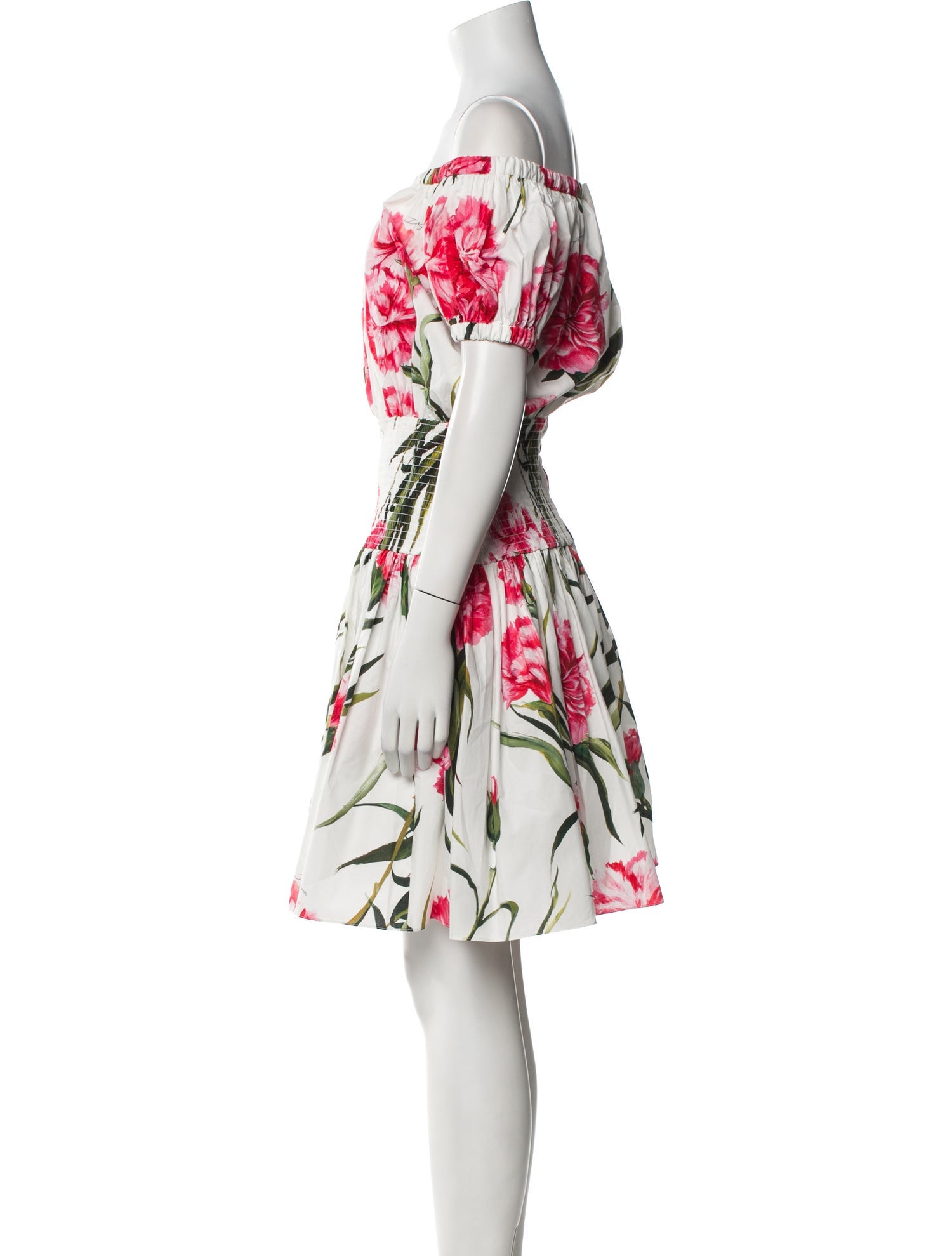 Dolce & Gabbana Floral Print Knee-Length Dress
