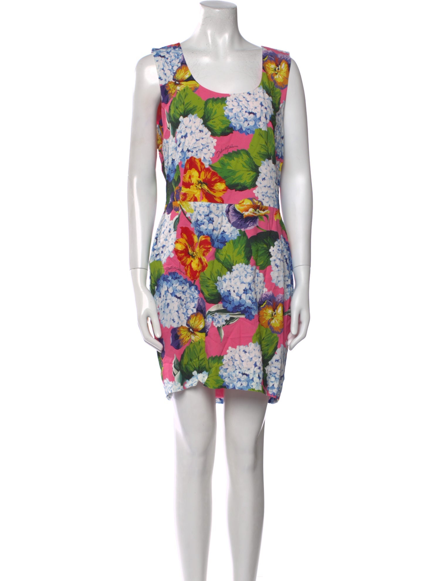 Dolce & Gabbana Floral Print Mini Dress