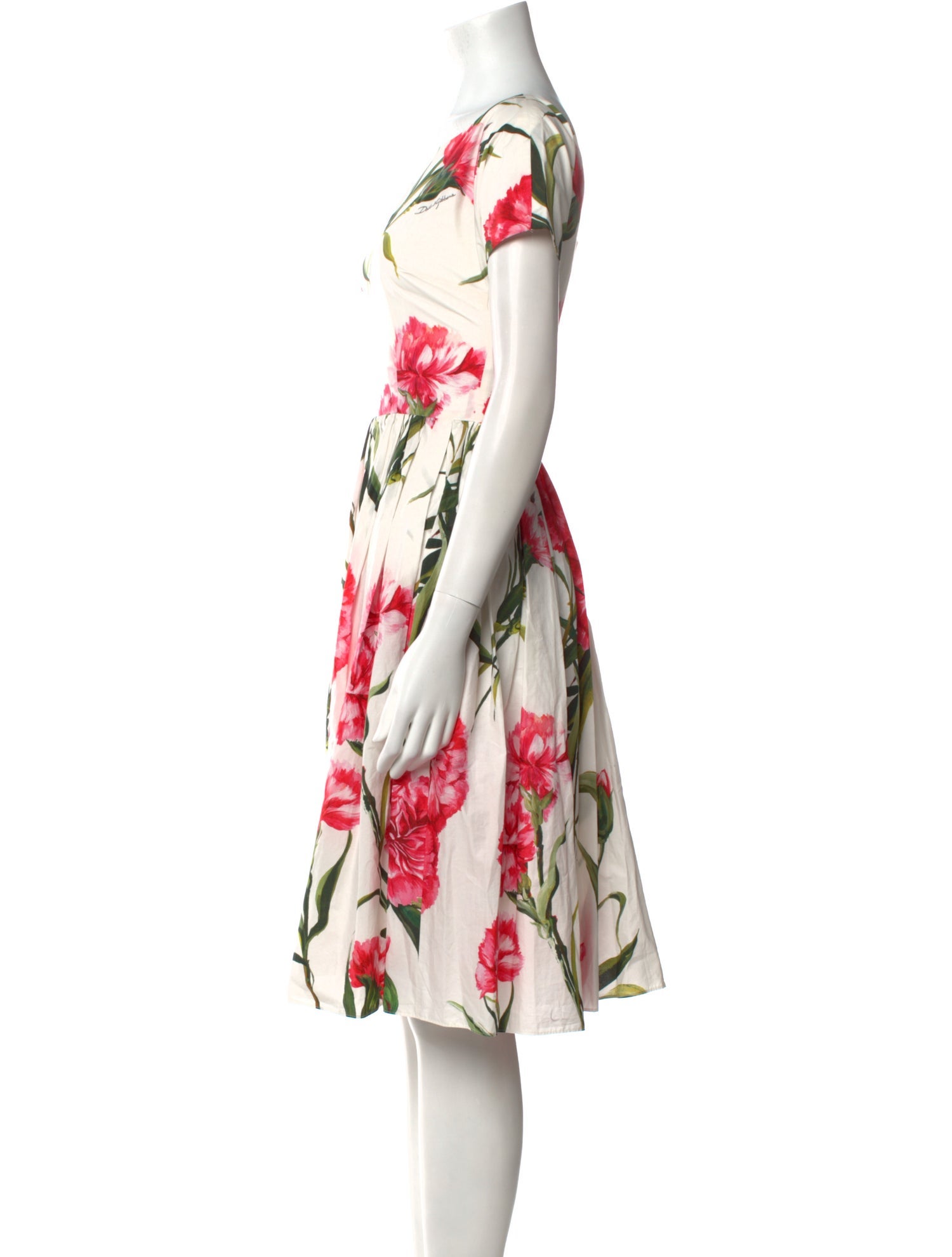 Dolce & Gabbana Floral Print Knee-Length Dress