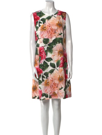 Dolce & Gabbana Floral Print Mini Dress