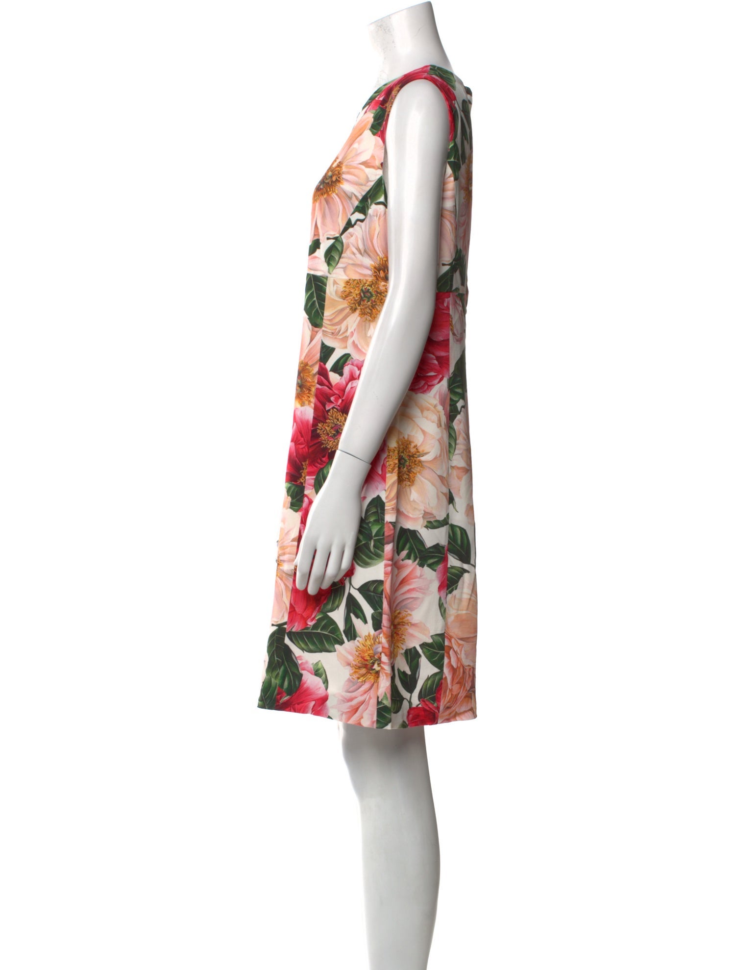 Dolce & Gabbana Floral Print Mini Dress