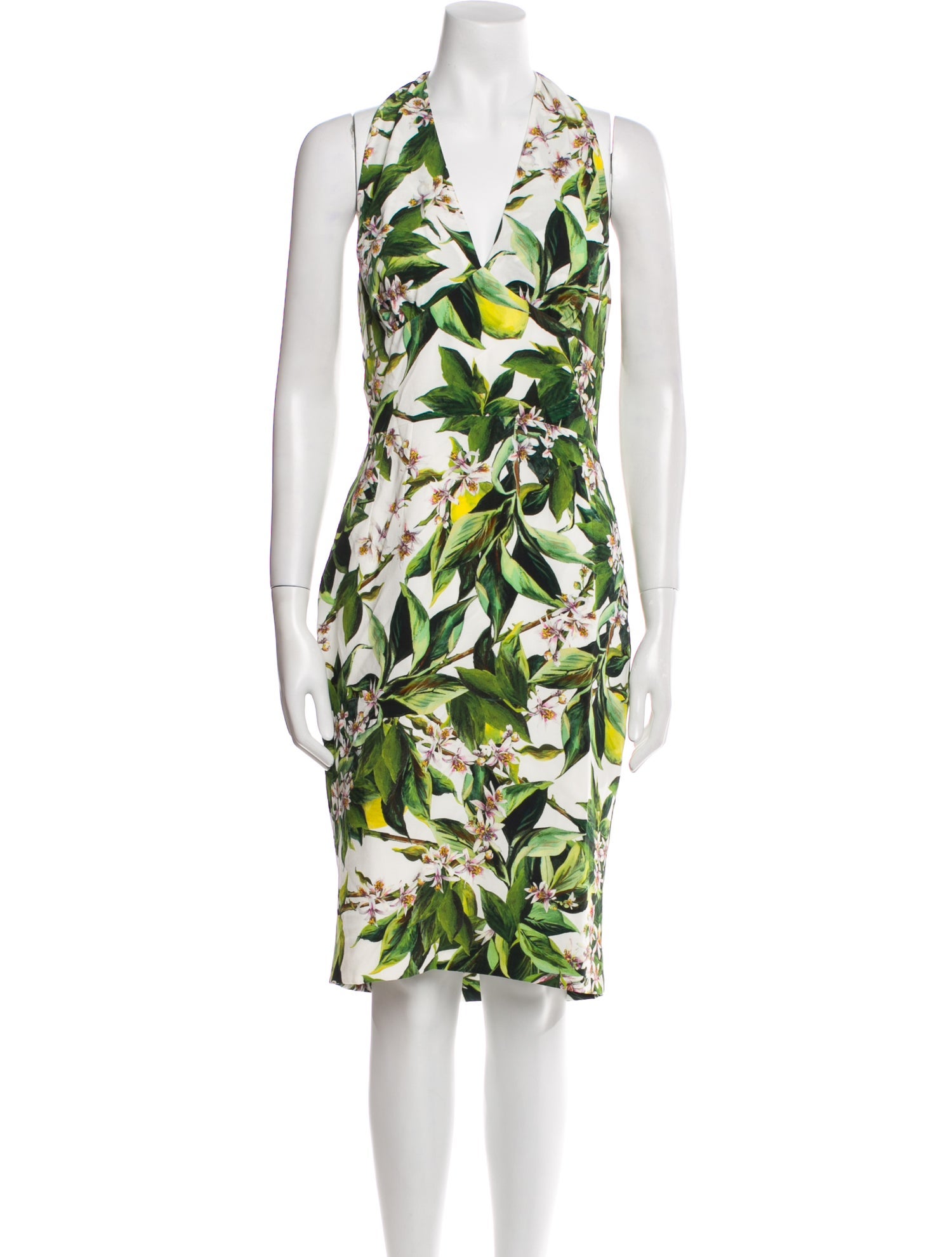 Dolce & Gabbana Floral Print Knee-Length Dress