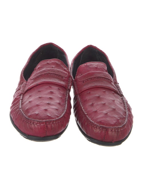 Dolce & Gabbana Ostrich Drivers