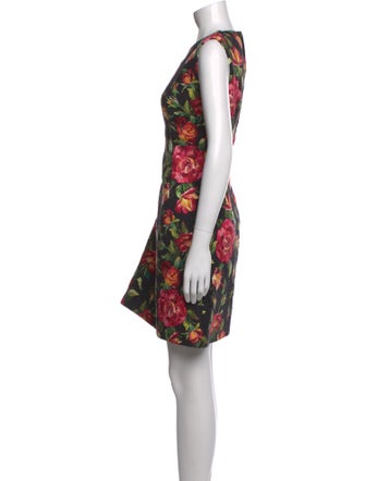 Dolce & Gabbana Floral Print Mini Dress