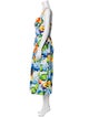 Dolce & Gabbana Floral Print Long Dress