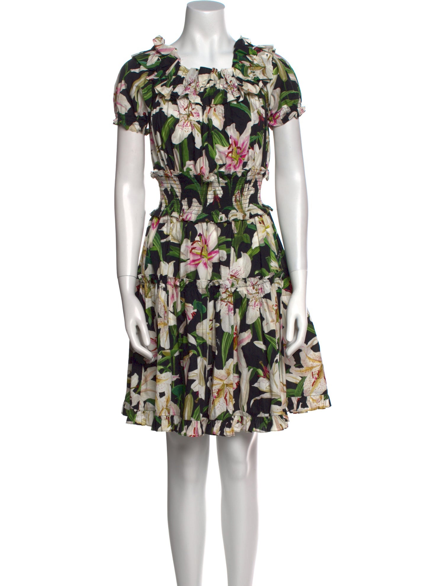 Dolce & Gabbana Floral Print Mini Dress