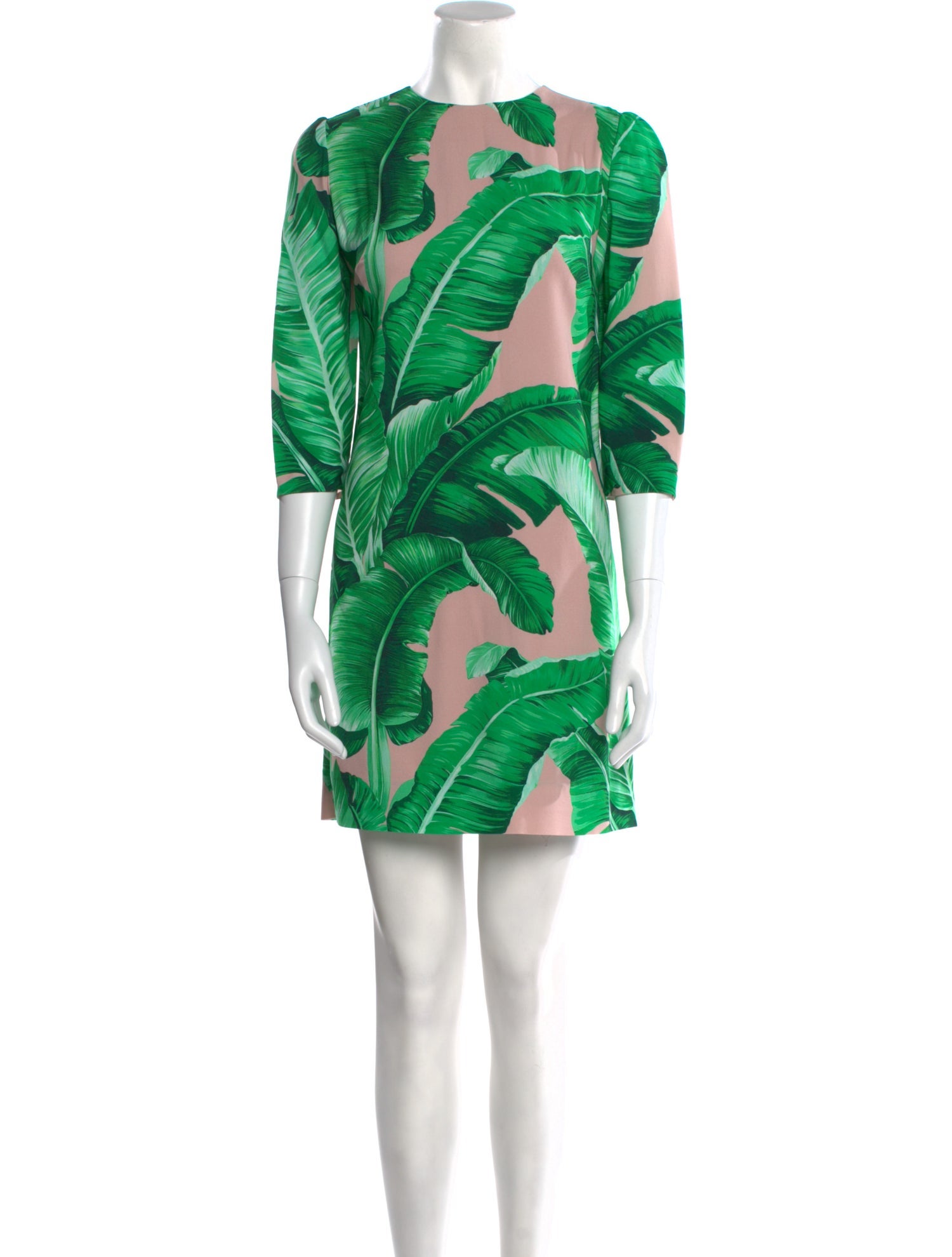 Dolce & Gabbana Printed Mini Dress