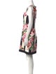 Dolce & Gabbana Floral Print Mini Dress