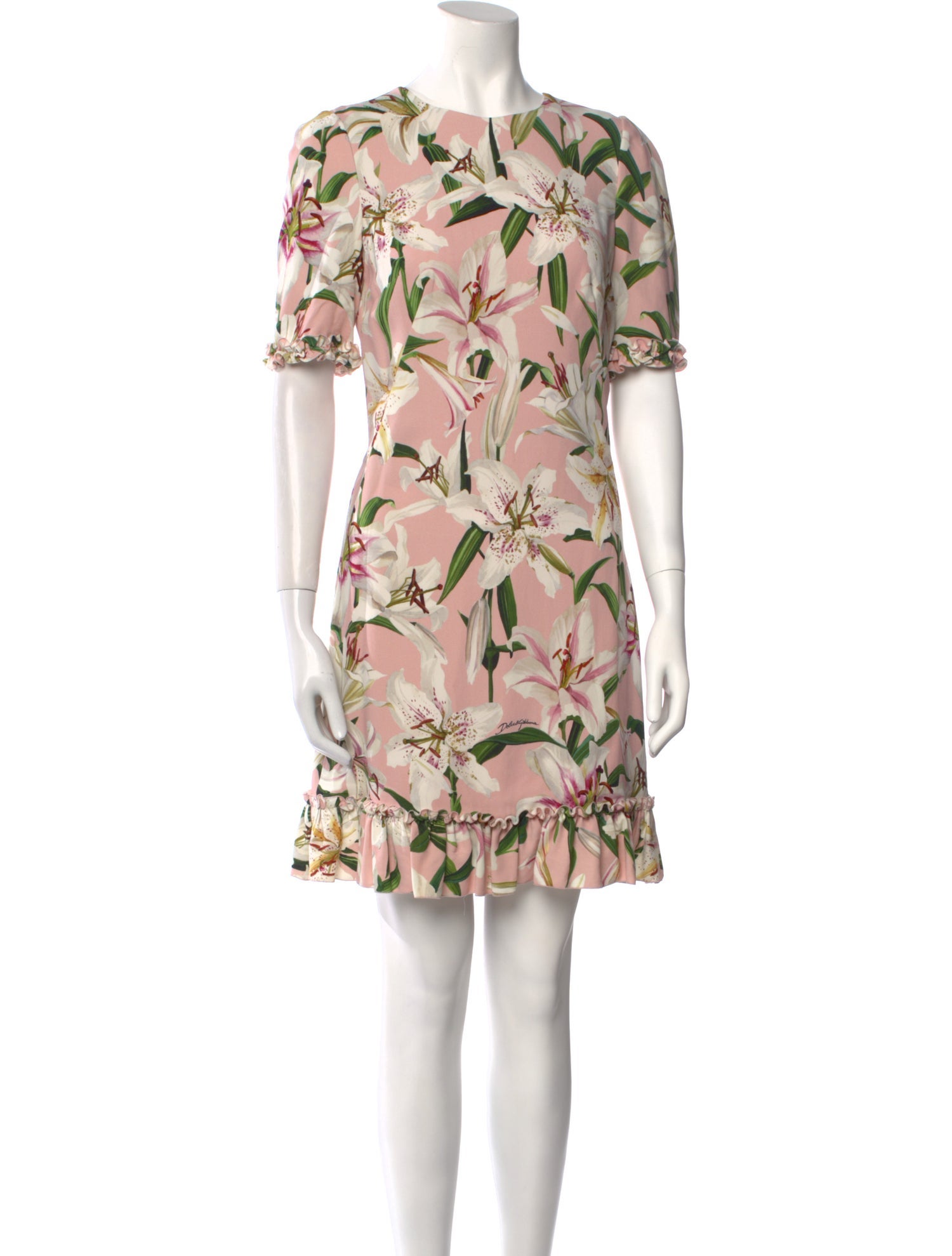 Dolce & Gabbana Floral Print Mini Dress