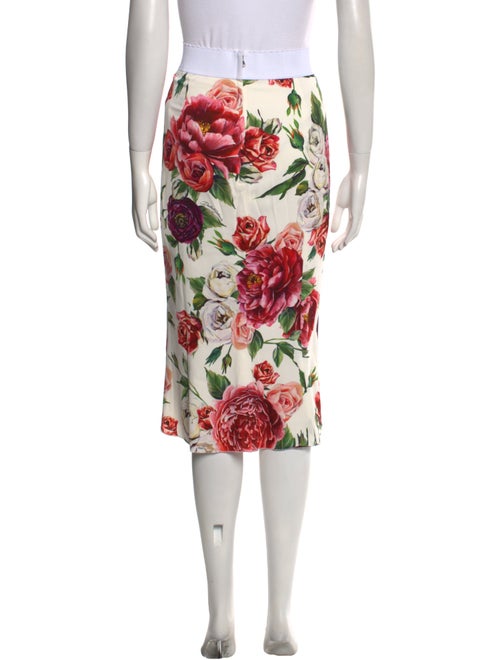 Dolce & Gabbana Floral Print Knee-Length Skirt