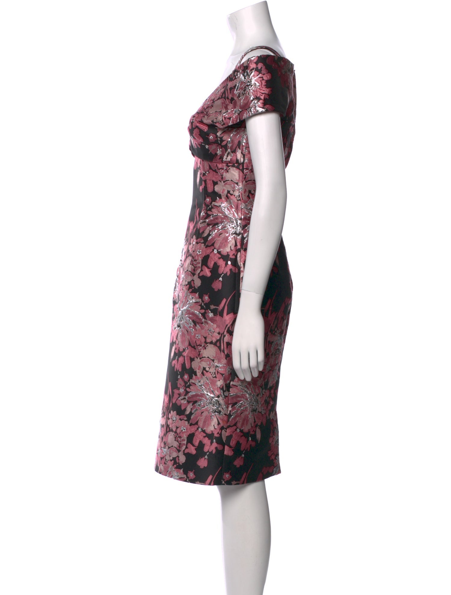 Dolce & Gabbana Floral Print Knee-Length Dress