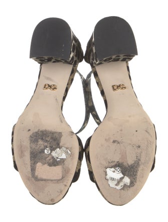 Dolce & Gabbana Animal Print Grosgrain Trim Sandals