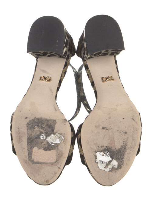 Dolce & Gabbana Animal Print Grosgrain Trim Sandals