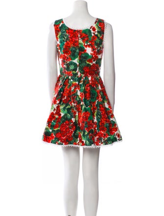 Dolce & Gabbana Floral Print Mini Dress