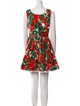 Dolce & Gabbana Floral Print Mini Dress