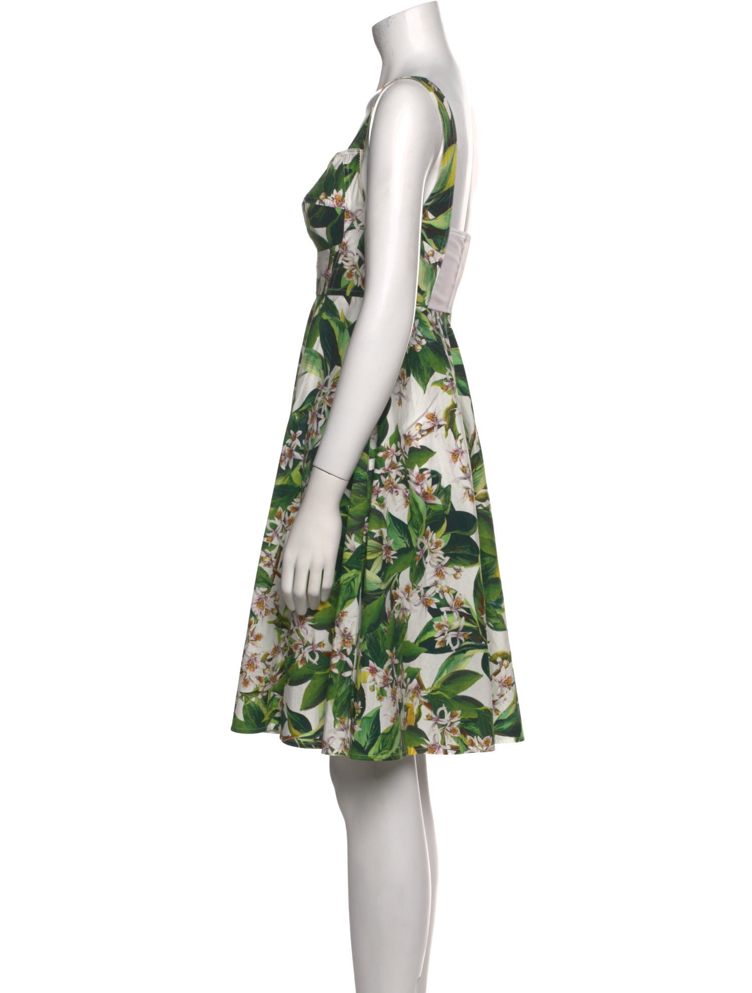 Dolce & Gabbana Floral Print Knee-Length Dress