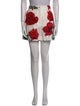 Dolce & Gabbana Floral Print Mini Shorts