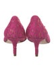Dolce & Gabbana Lace Crystal Embellishments Pumps