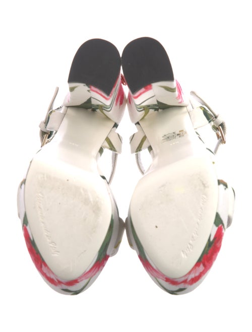 Dolce & Gabbana Canvas Printed Sandals