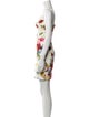 Dolce & Gabbana Floral Print Mini Dress