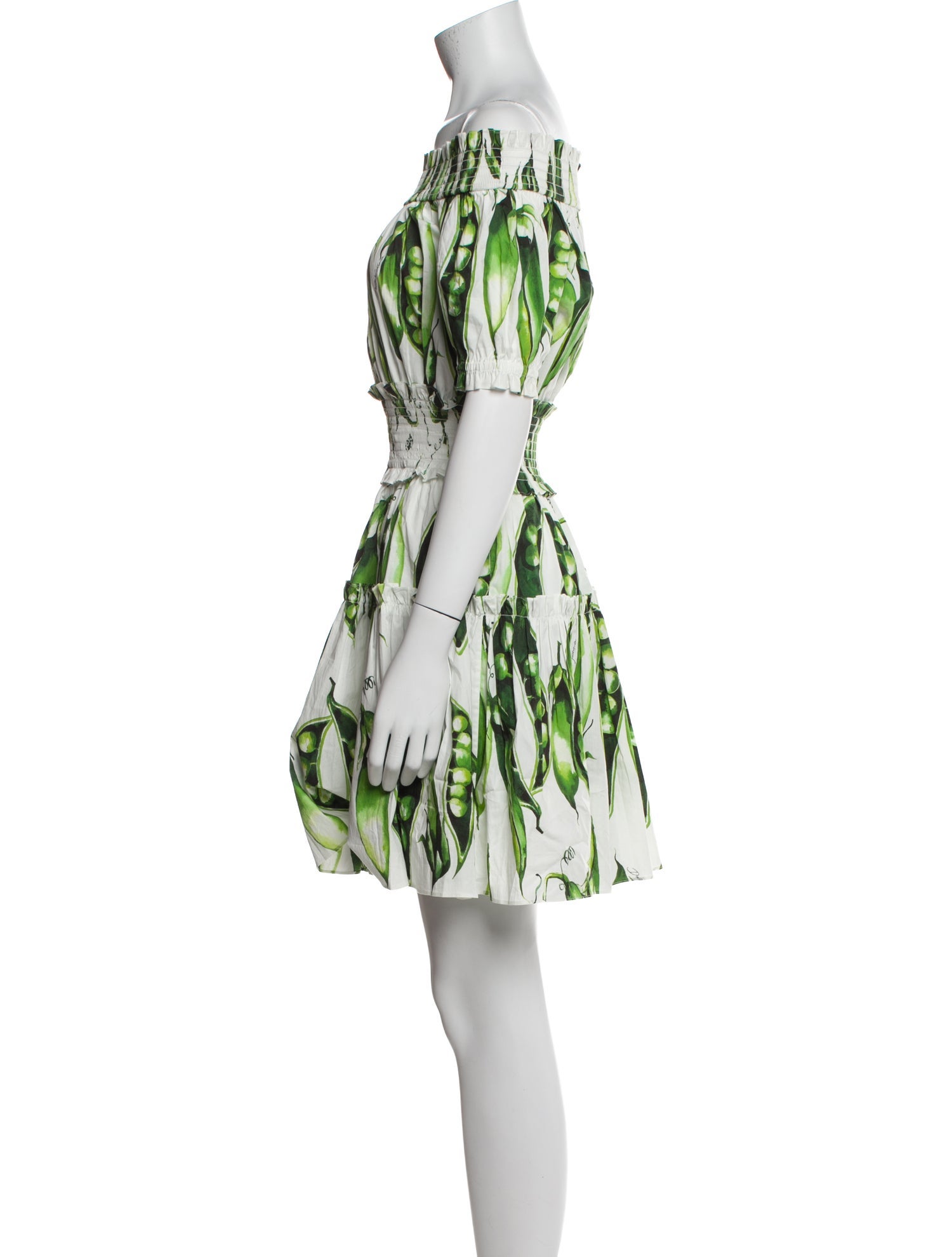 Dolce & Gabbana Printed Mini Dress