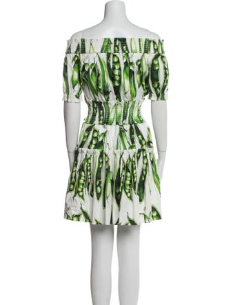 Dolce & Gabbana Printed Mini Dress