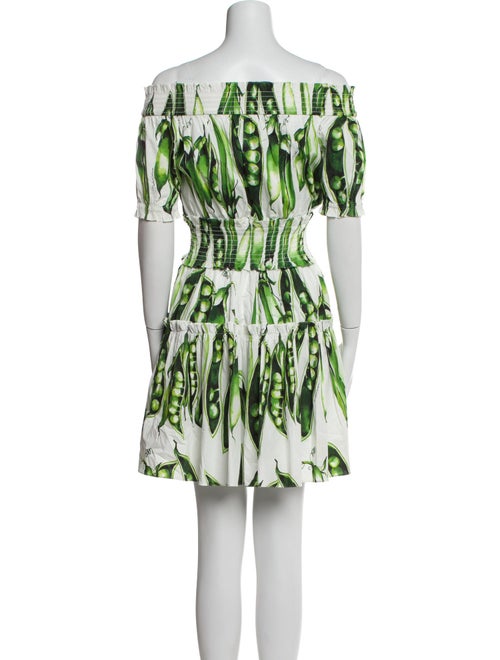Dolce & Gabbana Printed Mini Dress
