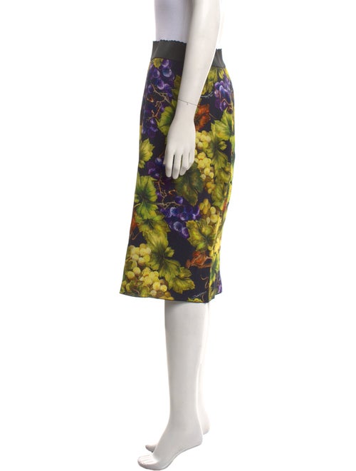 Dolce & Gabbana Floral Print Knee-Length Skirt