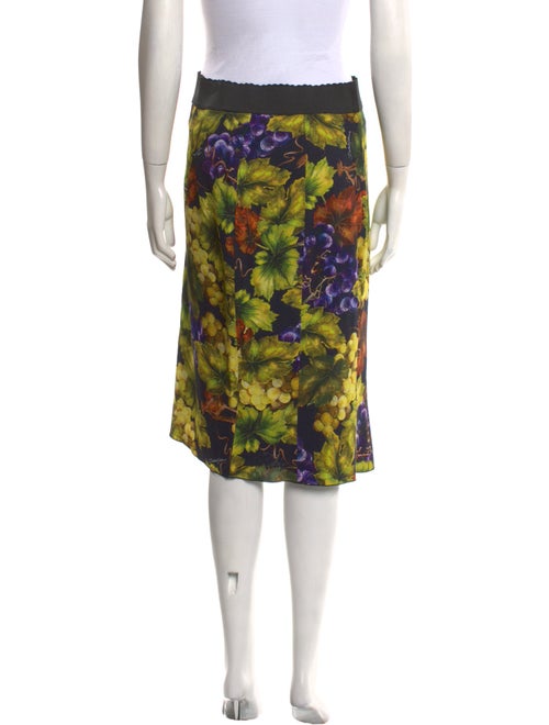 Dolce & Gabbana Floral Print Knee-Length Skirt