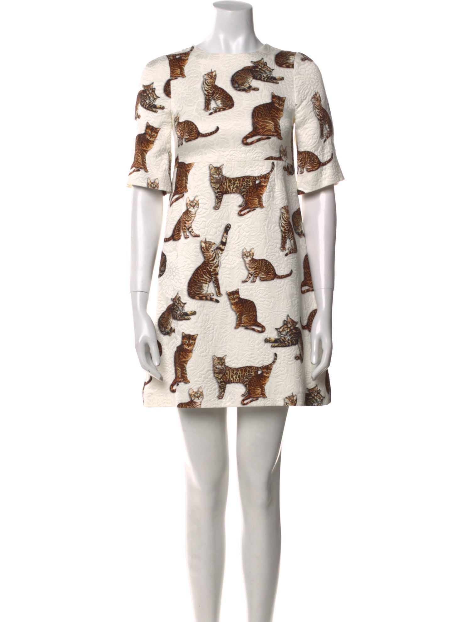 Dolce & Gabbana Printed Mini Dress