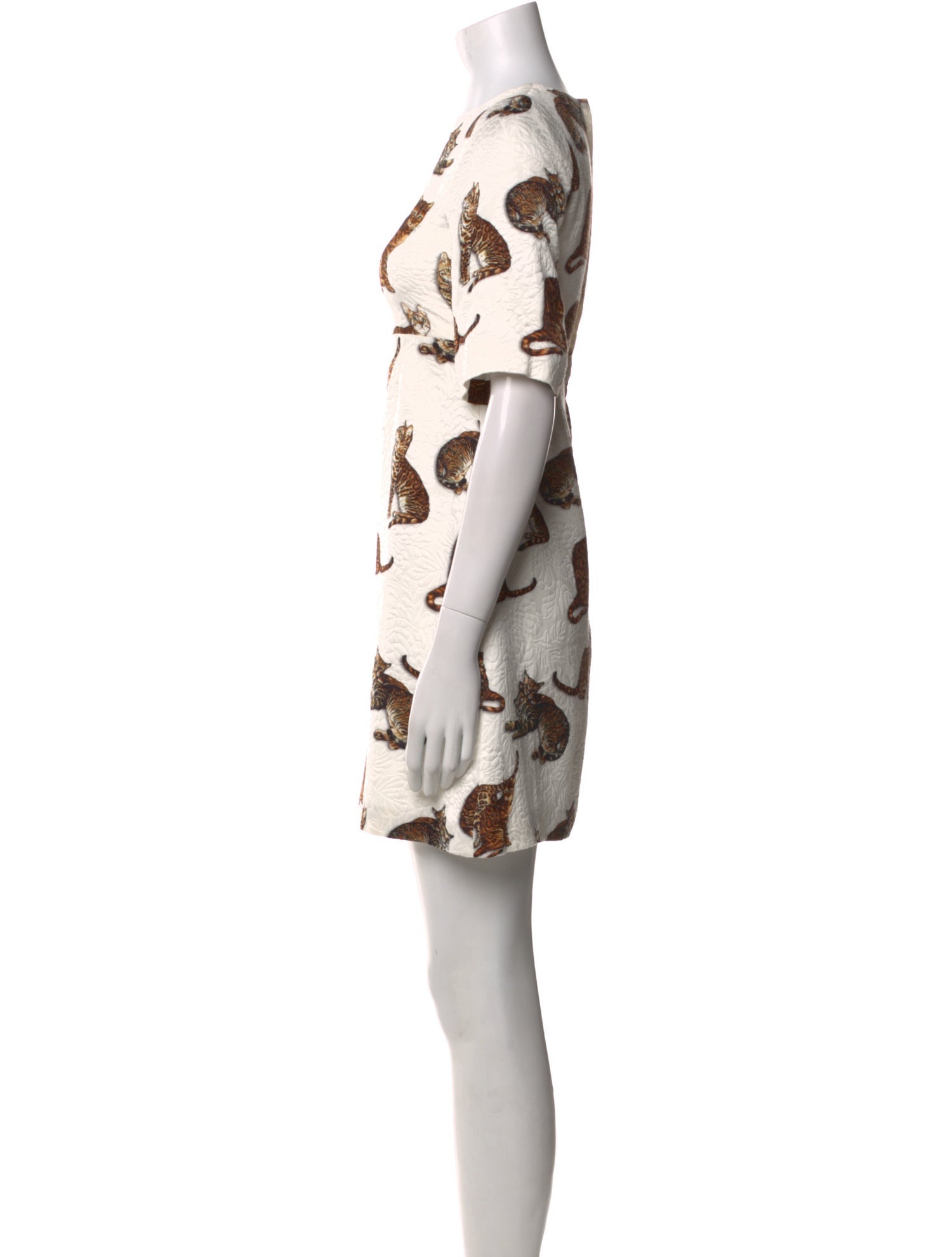 Dolce & Gabbana Printed Mini Dress