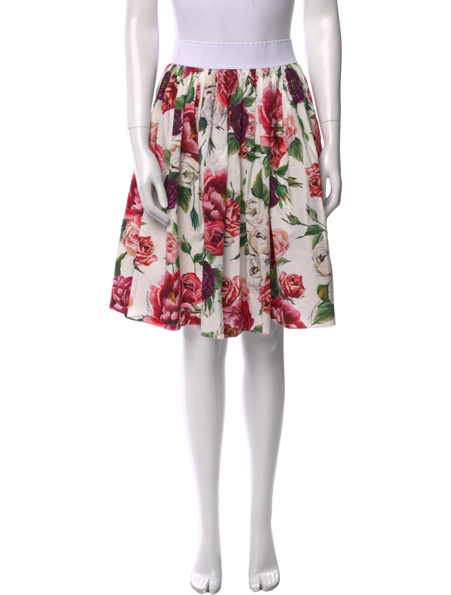 Dolce & Gabbana Floral Print Knee-Length Skirt