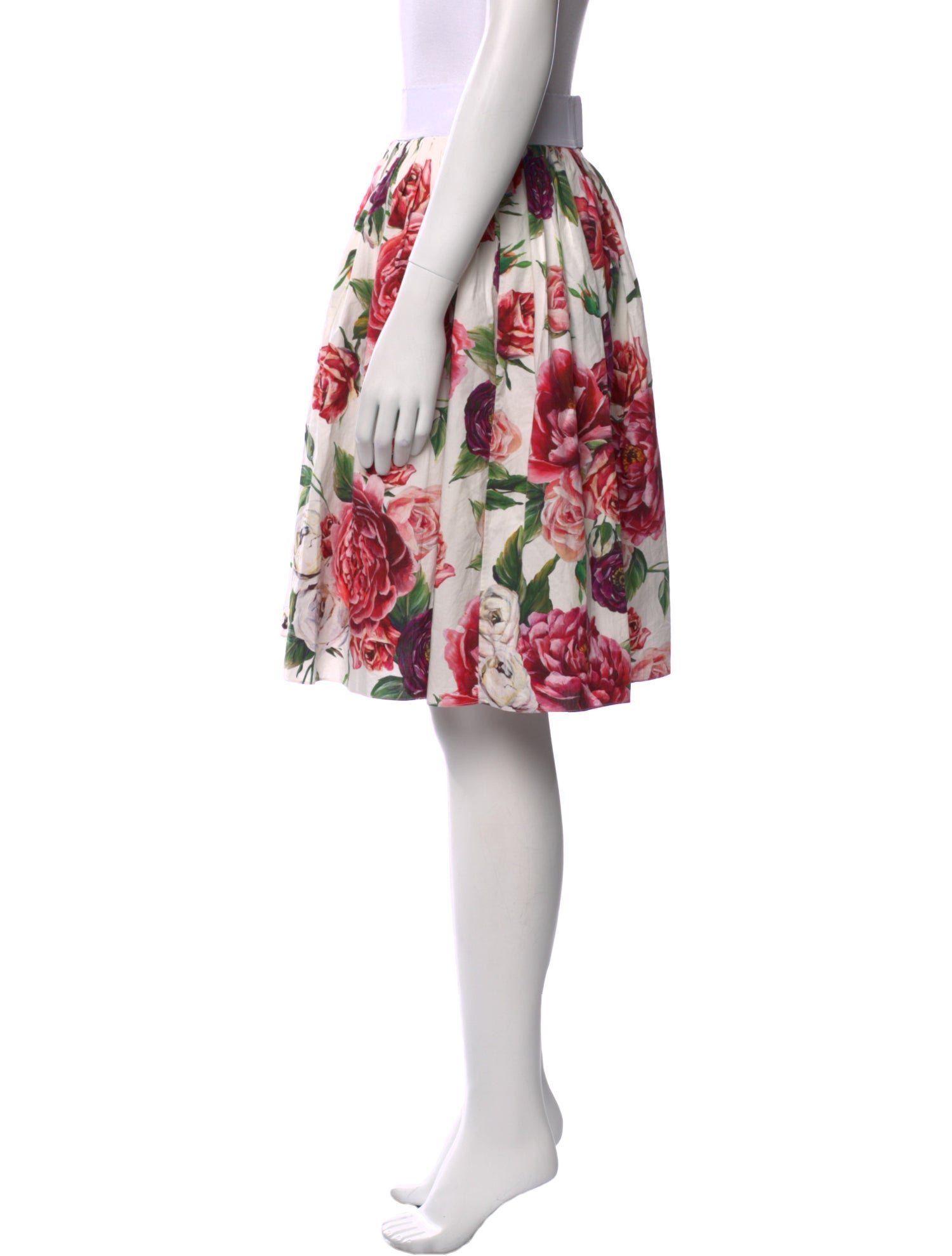 Dolce & Gabbana Floral Print Knee-Length Skirt