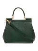 Dolce & Gabbana Lizard Top Handle Bag