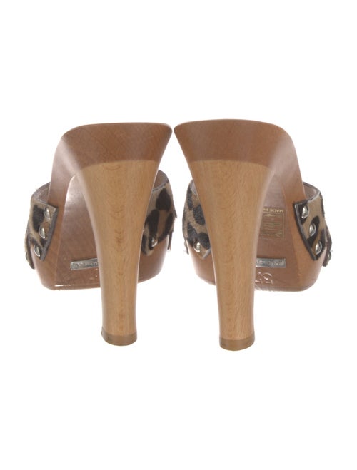 Dolce & Gabbana Ponyhair Animal Print Mules