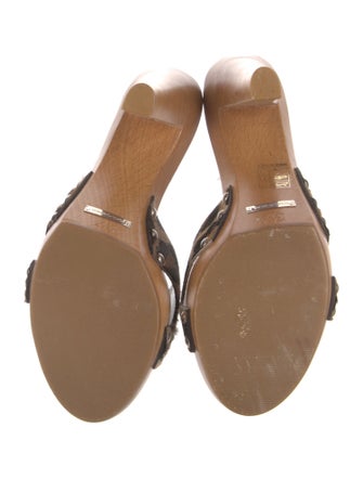 Dolce & Gabbana Ponyhair Animal Print Mules