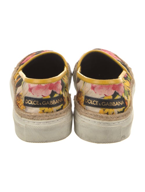 Dolce & Gabbana Canvas Printed Sneakers
