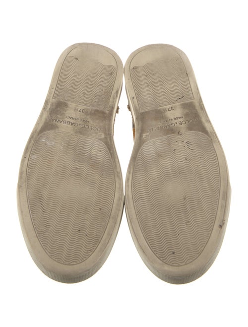 Dolce & Gabbana Canvas Printed Sneakers