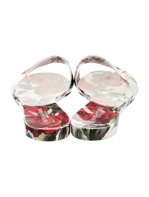 Dolce & Gabbana Rubber Floral Print Slides