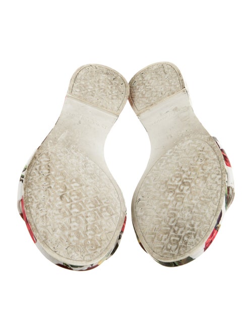 Dolce & Gabbana Rubber Floral Print Slides