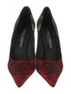 Dolce & Gabbana Printed Pumps