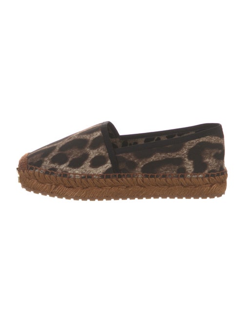 Dolce & Gabbana Canvas Animal Print Espadrilles