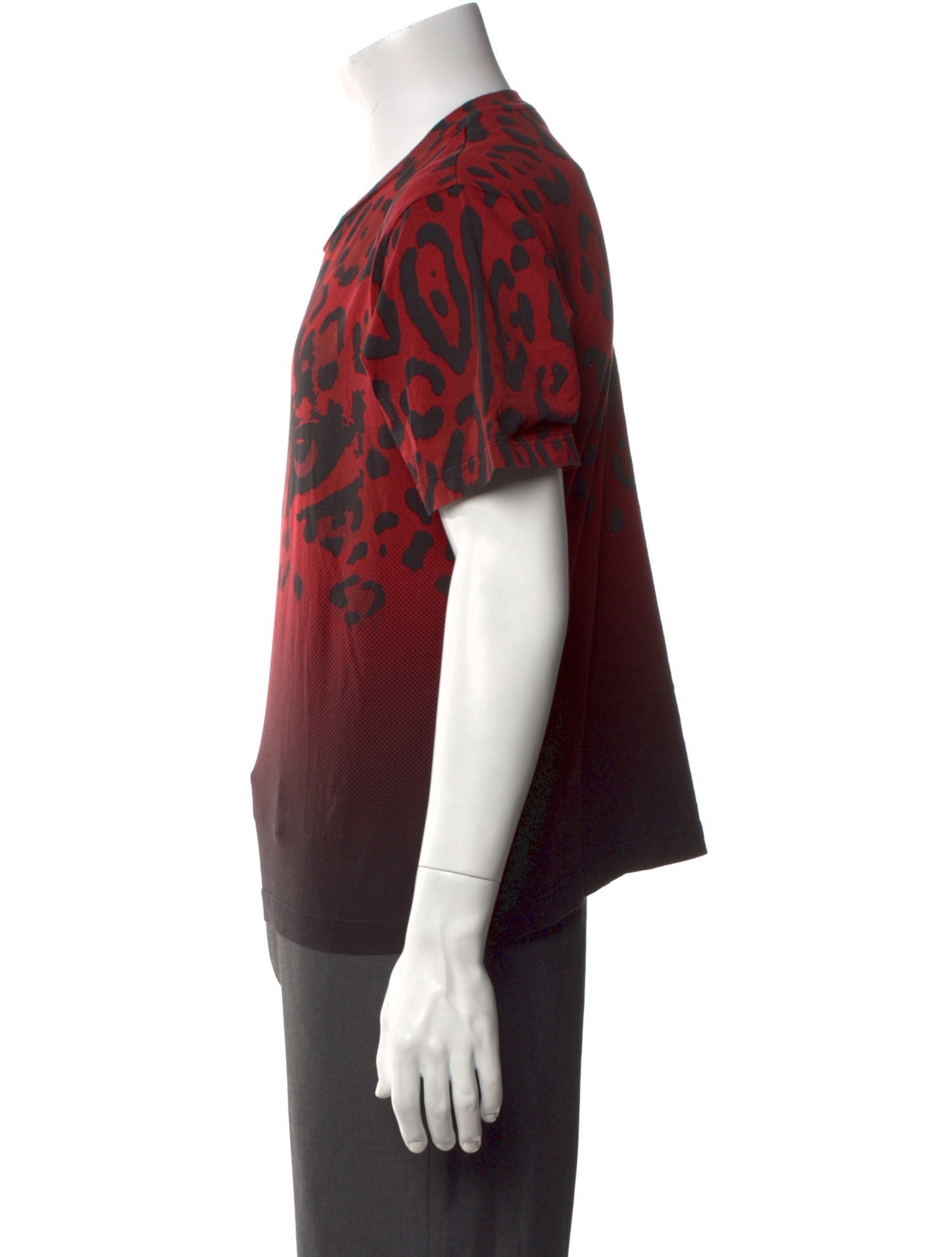 Dolce & Gabbana Printed Crew Neck T-Shirt