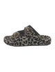 Dolce & Gabbana Animal Print Crystal Embellishments Slides