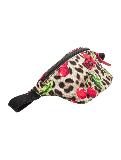 Dolce & Gabbana Belt Bag