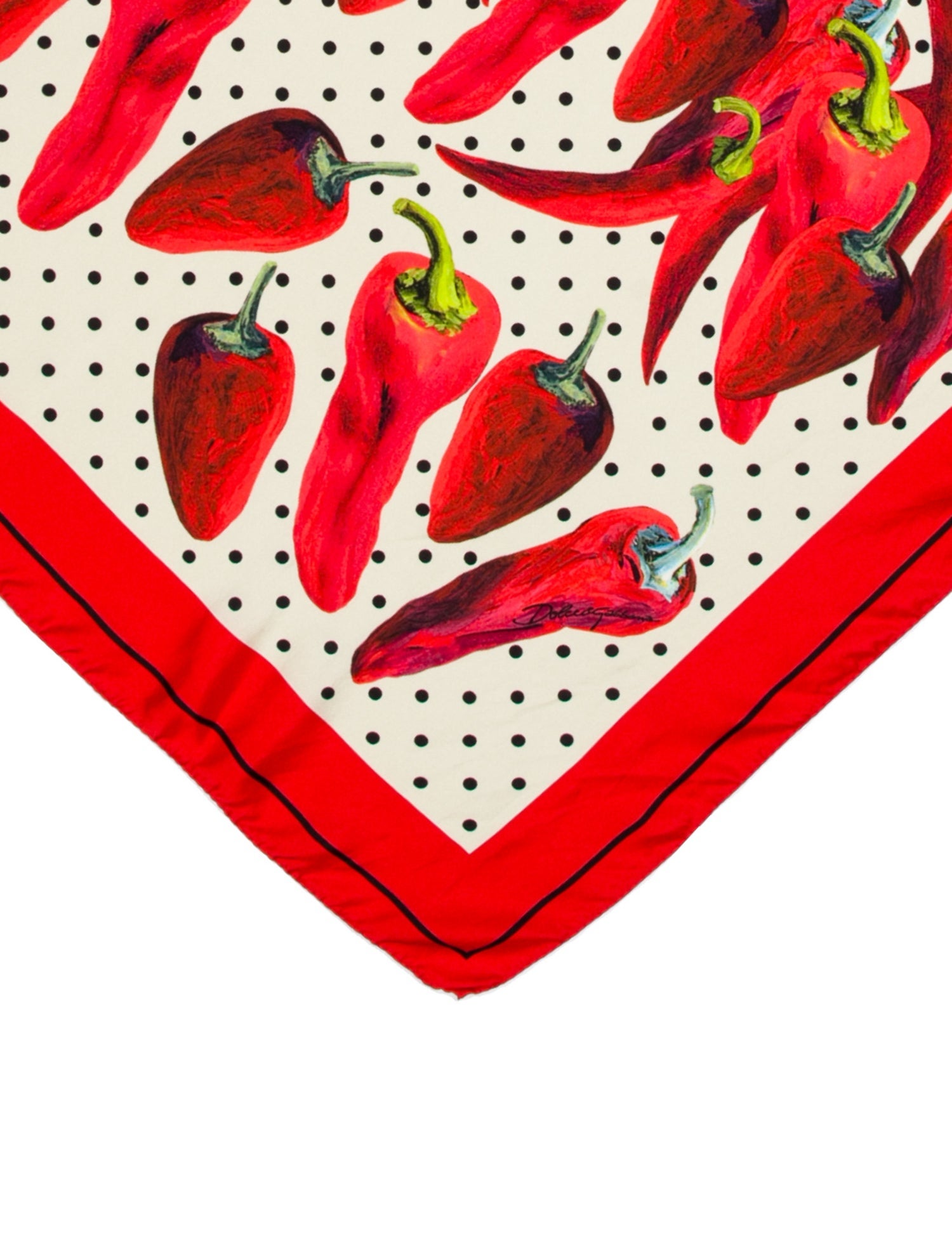 Dolce & Gabbana Silk Floral Print Scarf